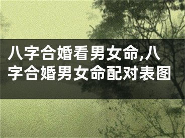 八字合婚看男女命,八字合婚男女命配对表图