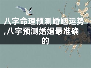八字命理预测婚姻运势,八字预测婚姻最准确的