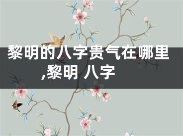 黎明的八字贵气在哪里,黎明 八字