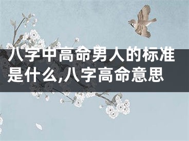 八字中高命男人的标准是什么,八字高命意思