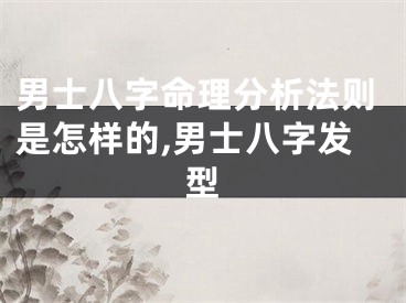 男士八字命理分析法则是怎样的,男士八字发型