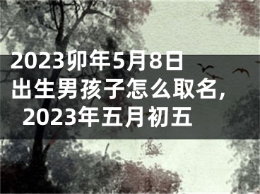 2023卯年5月8日出生男孩子怎么取名,2023年五月初五
