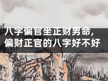 八字偏官坐正财男命,偏财正官的八字好不好