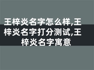 王梓炎名字怎么样,王梓炎名字打分测试,王梓炎名字寓意