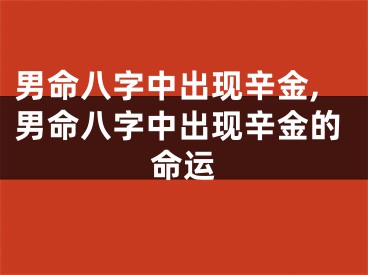 男命八字中出现辛金,男命八字中出现辛金的命运