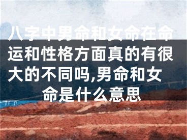 八字中男命和女命在命运和性格方面真的有很大的不同吗,男命和女命是什么意思