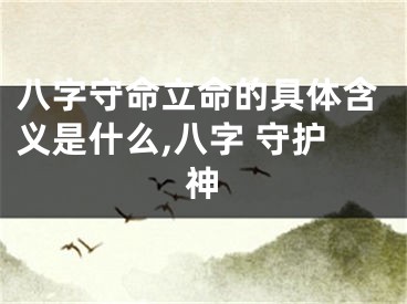 八字守命立命的具体含义是什么,八字 守护神