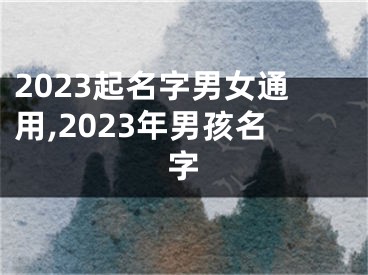 2023起名字男女通用,2023年男孩名字