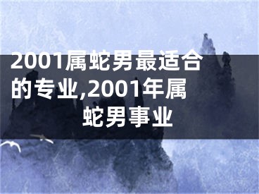 2001属蛇男最适合的专业,2001年属蛇男事业
