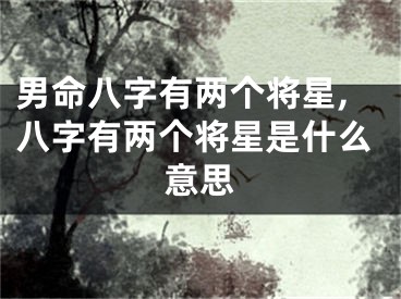 男命八字有两个将星,八字有两个将星是什么意思