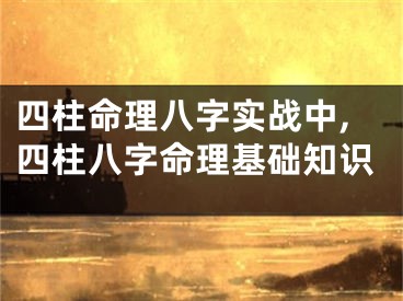 四柱命理八字实战中,四柱八字命理基础知识
