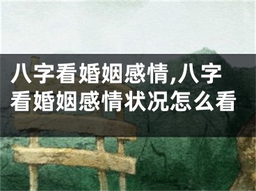 八字看婚姻感情,八字看婚姻感情状况怎么看