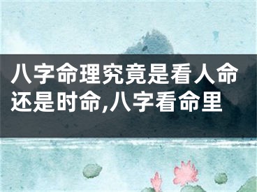 八字命理究竟是看人命还是时命,八字看命里