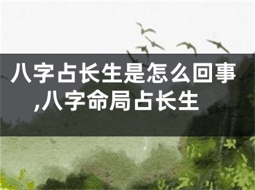 八字占长生是怎么回事,八字命局占长生