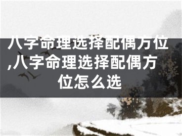 八字命理选择配偶方位,八字命理选择配偶方位怎么选