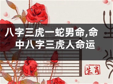 八字三虎一蛇男命,命中八字三虎人命运