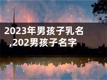 2023年男孩子乳名,202男孩子名字