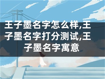 王子墨名字怎么样,王子墨名字打分测试,王子墨名字寓意