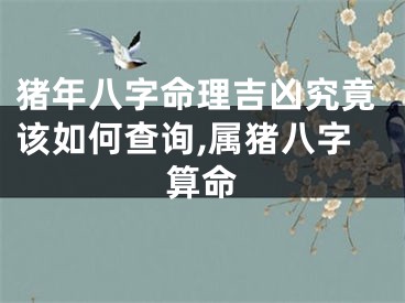 猪年八字命理吉凶究竟该如何查询,属猪八字算命