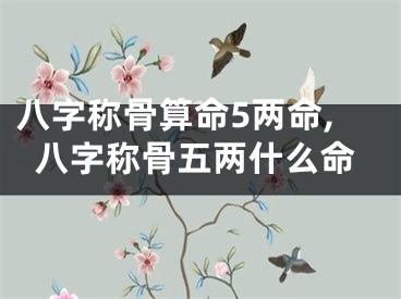 八字称骨算命5两命,八字称骨五两什么命