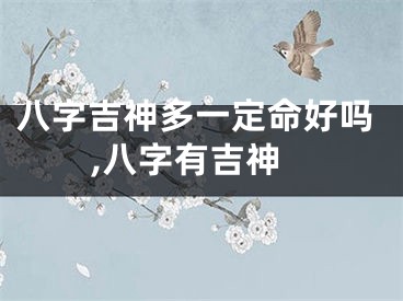 八字吉神多一定命好吗,八字有吉神
