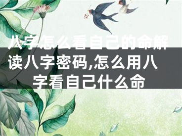 八字怎么看自己的命解读八字密码,怎么用八字看自己什么命