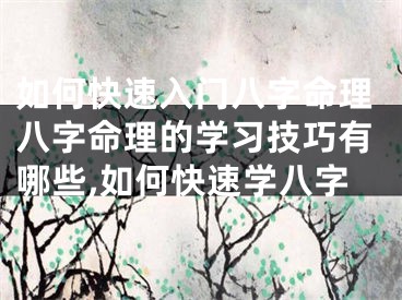 如何快速入门八字命理八字命理的学习技巧有哪些,如何快速学八字