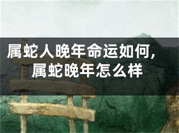 属蛇人晚年命运如何,属蛇晚年怎么样