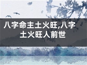 八字命主土火旺,八字土火旺人前世
