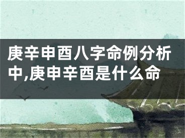 庚辛申酉八字命例分析中,庚申辛酉是什么命