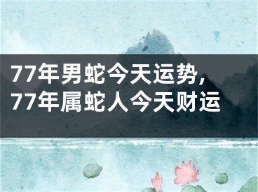 77年男蛇今天运势,77年属蛇人今天财运