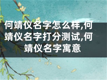 何靖仪名字怎么样,何靖仪名字打分测试,何靖仪名字寓意