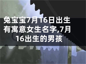 兔宝宝7月16日出生有寓意女生名字,7月16出生的男孩