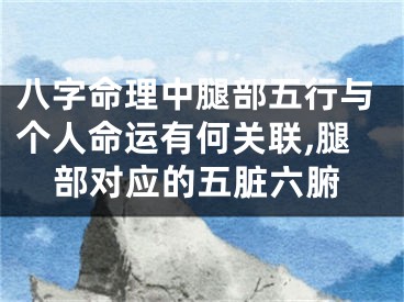 八字命理中腿部五行与个人命运有何关联,腿部对应的五脏六腑