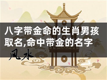 八字带金命的生肖男孩取名,命中带金的名字