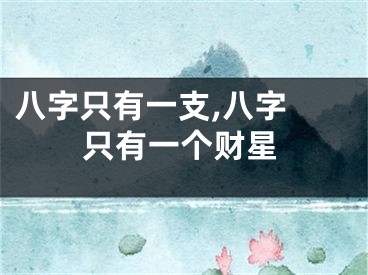 八字只有一支,八字 只有一个财星