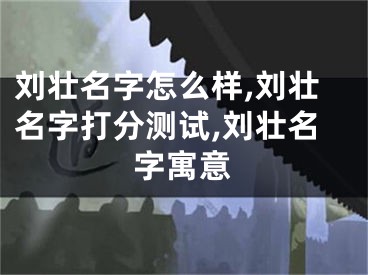 刘壮名字怎么样,刘壮名字打分测试,刘壮名字寓意