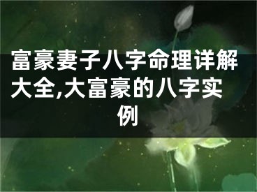 富豪妻子八字命理详解大全,大富豪的八字实例