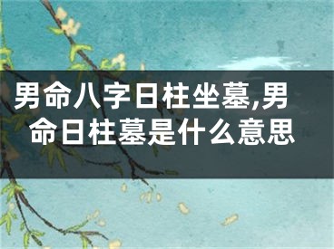 男命八字日柱坐墓,男命日柱墓是什么意思