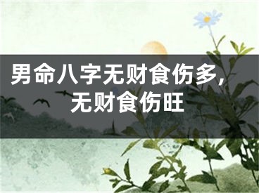 男命八字无财食伤多,无财食伤旺
