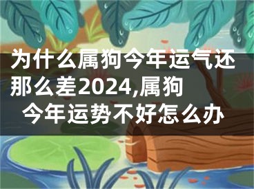为什么属狗今年运气还那么差2024,属狗今年运势不好怎么办