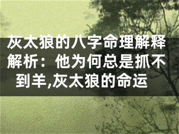 灰太狼的八字命理解释解析：他为何总是抓不到羊,灰太狼的命运