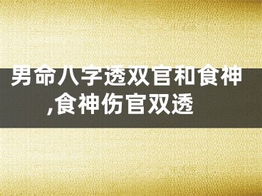 男命八字透双官和食神,食神伤官双透
