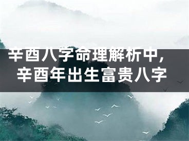 辛酉八字命理解析中,辛酉年出生富贵八字