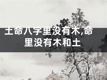 土命八字里没有木,命里没有木和土