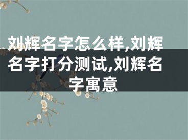 刘辉名字怎么样,刘辉名字打分测试,刘辉名字寓意