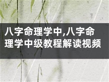 八字命理学中,八字命理学中级教程解读视频