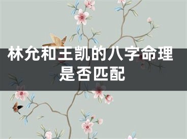 林允和王凯的八字命理是否匹配