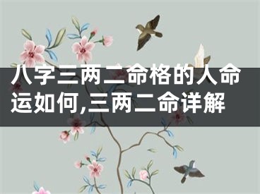八字三两二命格的人命运如何,三两二命详解