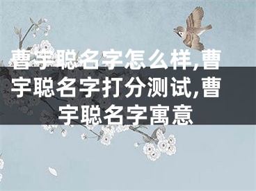 曹宇聪名字怎么样,曹宇聪名字打分测试,曹宇聪名字寓意